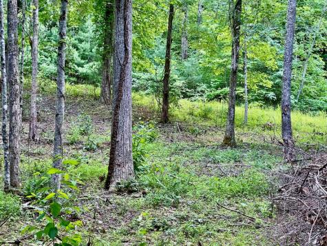 #4 Lower Fox Trail Blairsville GA 30512
