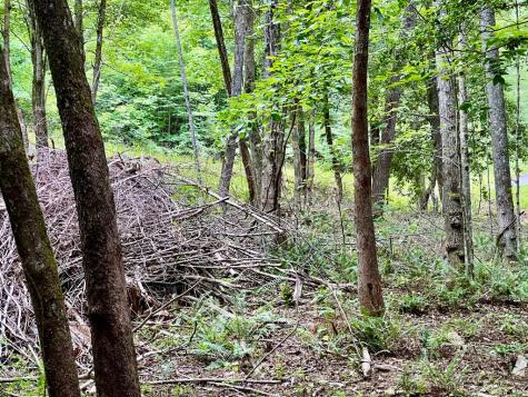 #4 Lower Fox Trail Blairsville GA 30512