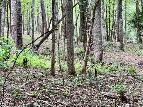 #4 Lower Fox Trail Blairsville GA 30512