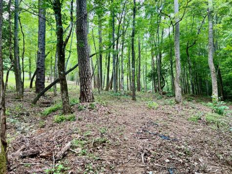 #4 Lower Fox Trail Blairsville GA 30512