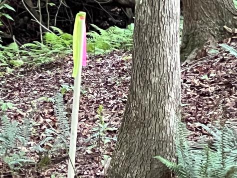 #4 Lower Fox Trail Blairsville GA 30512