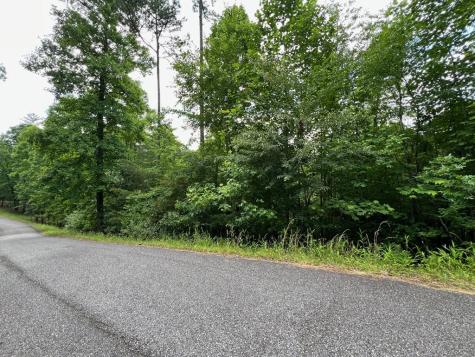 #4 Lower Fox Trail Blairsville GA 30512