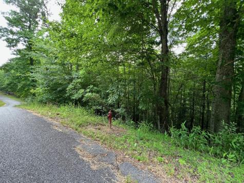 #4 Lower Fox Trail Blairsville GA 30512