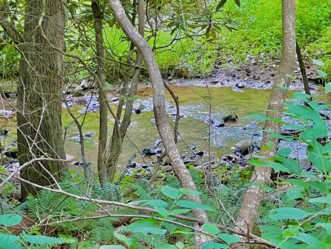 #4 Lower Fox Trail Blairsville GA 30512