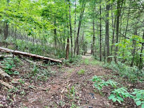 #4 Lower Fox Trail Blairsville GA 30512