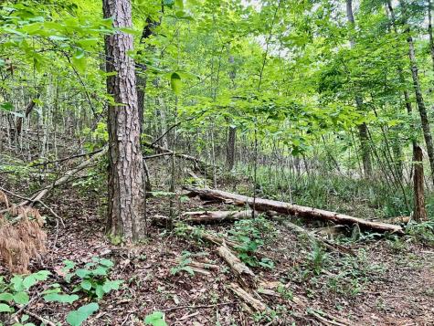 #4 Lower Fox Trail Blairsville GA 30512