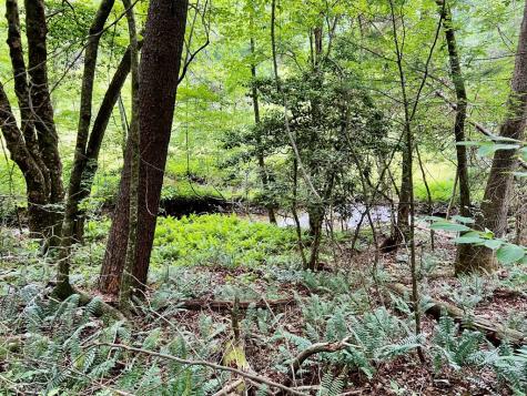 #4 Lower Fox Trail Blairsville GA 30512