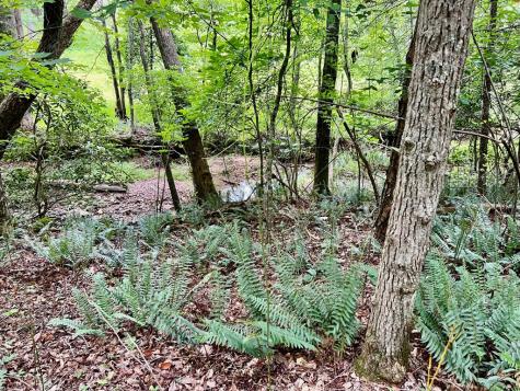 #4 Lower Fox Trail Blairsville GA 30512