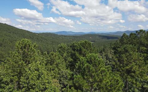 Lt 62 Ridge Peak View Blairsville GA 30512