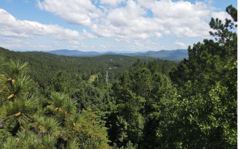 Lt 62 Ridge Peak View Blairsville GA 30512