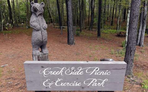 Lt 62 Ridge Peak View Blairsville GA 30512