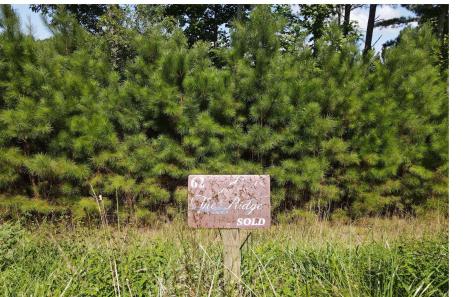 Lt 62 Ridge Peak View Blairsville GA 30512