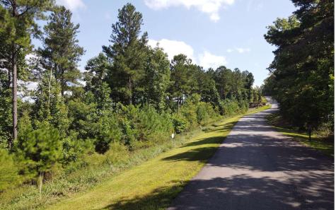 Lt 62 Ridge Peak View Blairsville GA 30512