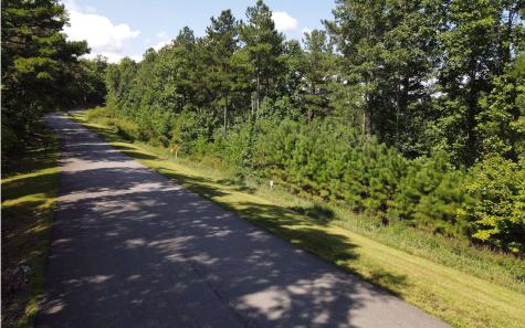 Lt 62 Ridge Peak View Blairsville GA 30512