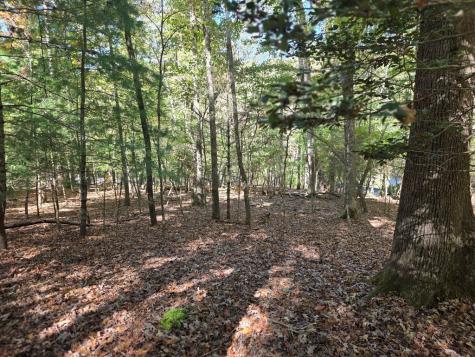 Lot #385 Zenith Trail Ellijay GA 30540