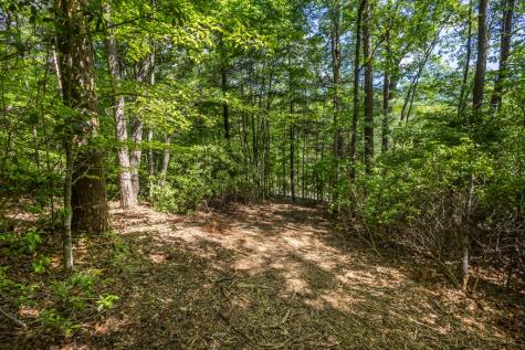 4.2 Acre Donley Road Murphy NC 28906