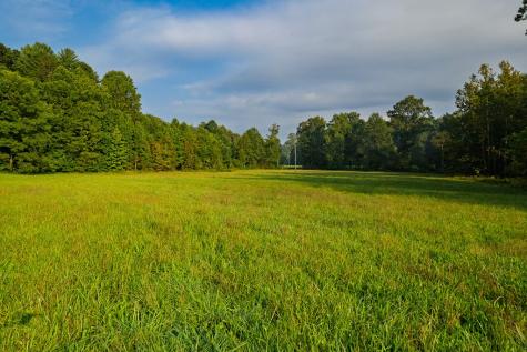 228 Holly Branch Drive Ellijay GA 30540