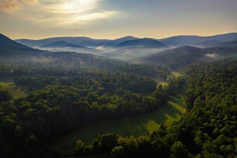 228 Holly Branch Drive Ellijay GA 30540