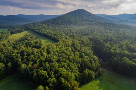 228 Holly Branch Drive Ellijay GA 30540