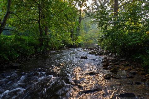 228 Holly Branch Drive Ellijay GA 30540