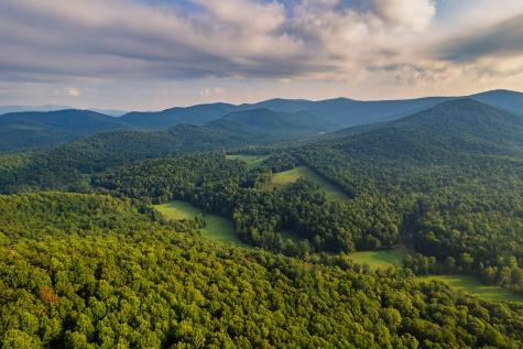228 Holly Branch Drive Ellijay GA 30540