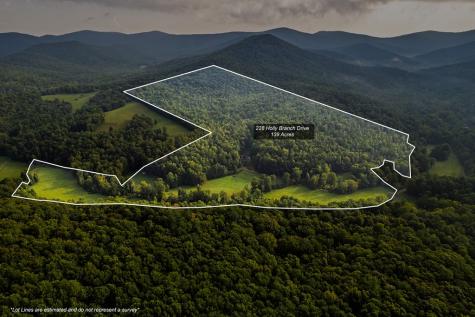 228 Holly Branch Drive Ellijay GA 30540