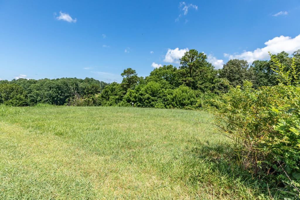 Lot 15 Brookledge Court Blairsville GA 30512