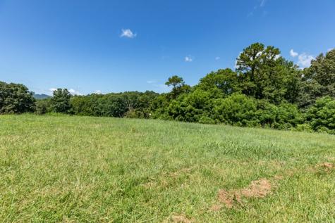 Lot 15 Brookledge Court Blairsville GA 30512