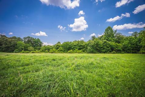 7.14 Ac Night Lane Epworth GA 30541