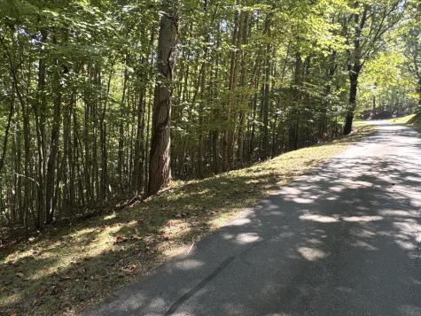Lot 14 White Oak Drive Warne NC 28909