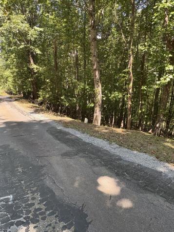 Lot 14 White Oak Drive Warne NC 28909