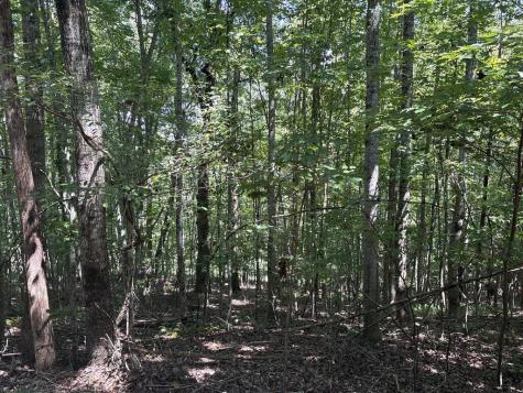 Lot 14 White Oak Drive Warne NC 28909