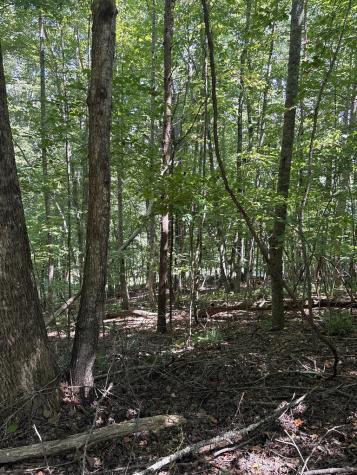 Lot 14 White Oak Drive Warne NC 28909