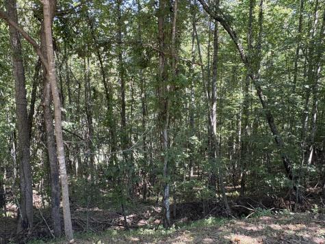 Lot 14 White Oak Drive Warne NC 28909