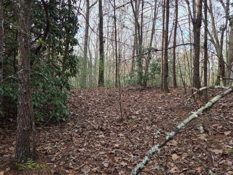 Lot 53 Calvender Road Turtletown TN 37326