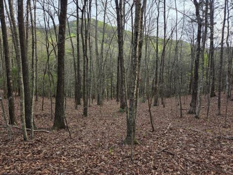 Lot 53 Calvender Road Turtletown TN 37326