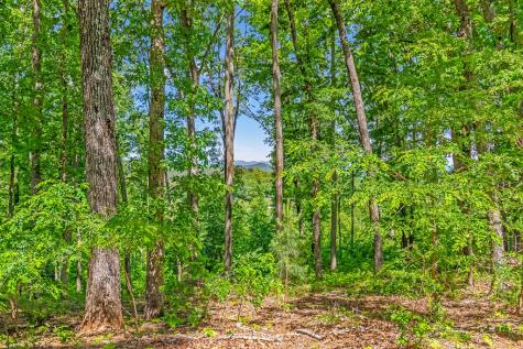 Lot 98 Winding Ridge Blairsville GA 30512