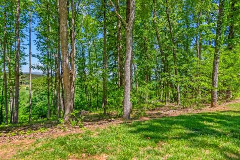 Lot 98 Winding Ridge Blairsville GA 30512