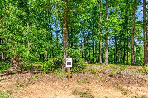 Lot 98 Winding Ridge Blairsville GA 30512