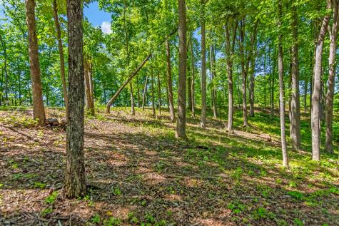 Lot 98 Winding Ridge Blairsville GA 30512