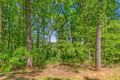 Lot 98 Winding Ridge Blairsville GA 30512