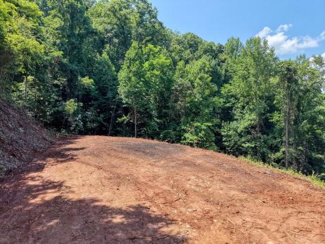 Lot 123 Shiloh Drive Hayesville NC 28904