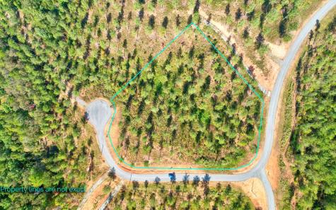 Lt 62 Seven Mile Creek Road Talking Rock GA 30175