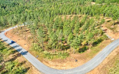 Lt 62 Seven Mile Creek Road Talking Rock GA 30175