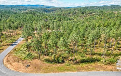 Lt 62 Seven Mile Creek Road Talking Rock GA 30175