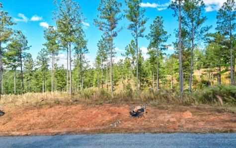 Lt 62 Seven Mile Creek Road Talking Rock GA 30175
