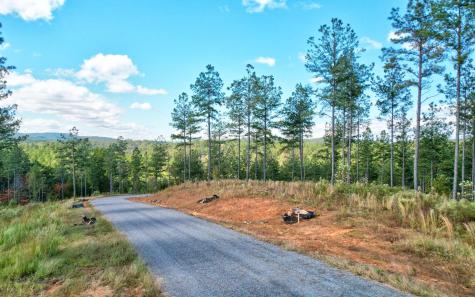 Lt 62 Seven Mile Creek Road Talking Rock GA 30175