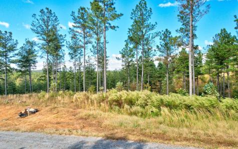Lt 62 Seven Mile Creek Road Talking Rock GA 30175