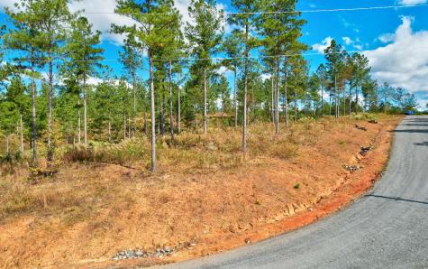 Lt 62 Seven Mile Creek Road Talking Rock GA 30175