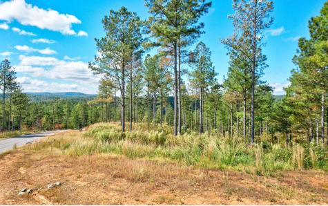 Lt 62 Seven Mile Creek Road Talking Rock GA 30175